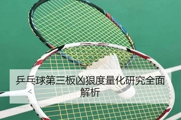 乒乓球第三板凶狠度量化研究全面解析